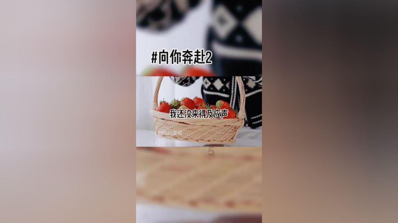 【快讯】曲靖市六届人大三次会议胜利闭幕